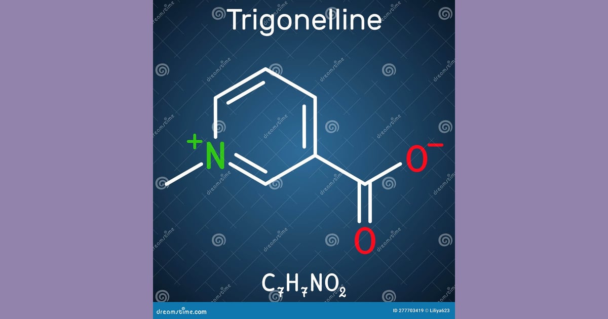 Trigonelin - Trigonelline Plant Alkaloid