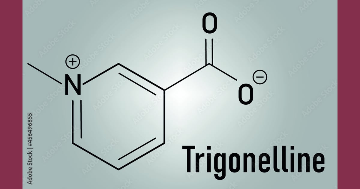 Trigonelin - Trigonelline molecule skeletal